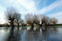 Vragen over wateroverlast, overstroming en verzekeringen