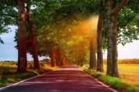 Car insurance in the Netherlands