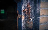 Dit jaar al bijna 10 procent meer schuurinbraken